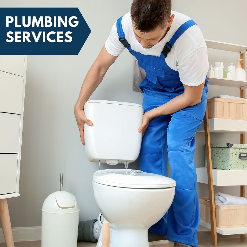 Plumbing Company in Glasford, IL